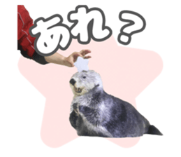 772434185