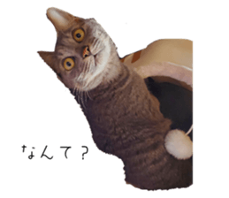 772438657