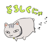 772446838
