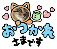 772447118