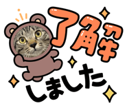 772447125