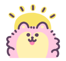 772455797