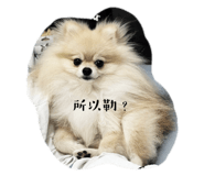 772460477