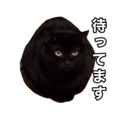 772473317