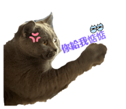 772479177