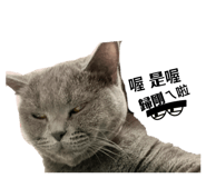 772479178