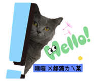 772479602