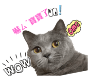 772479603