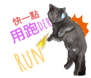 772479606