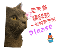 772479607