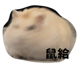 772483444