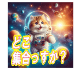 772493032