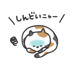 7724958