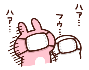 772496219