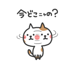 7724972