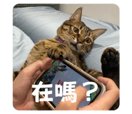 772499514
