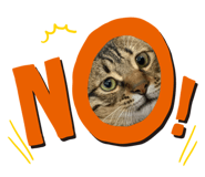 772499535