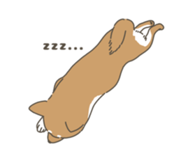 772505072