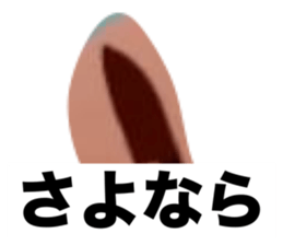772520516