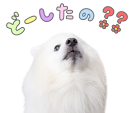 772525270