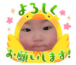 772530334
