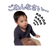 772530545