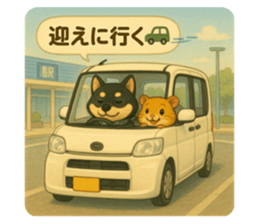 772531547