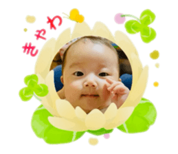 772531679