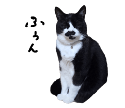 772531824
