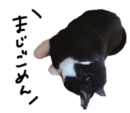772531825