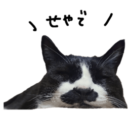 772531826