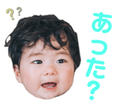 772536684