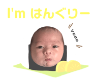 772536695