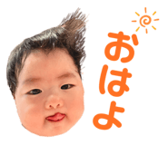772536702