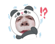 772537178