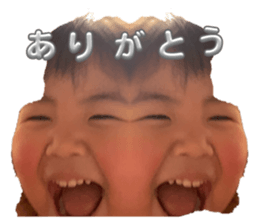 772549439