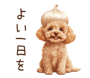 772551938