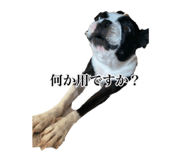 772556811