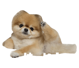 772557611