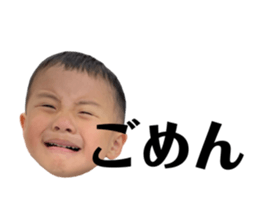 772574017