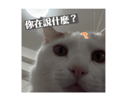 772575486