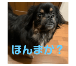 772576476