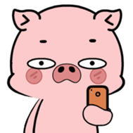 772578315