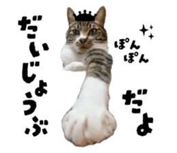 772588045