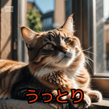 772594908