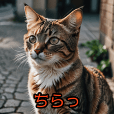 772594941