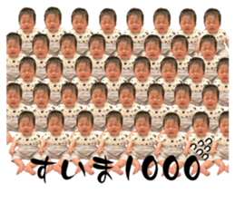 772595943