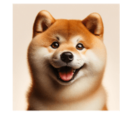 772597352