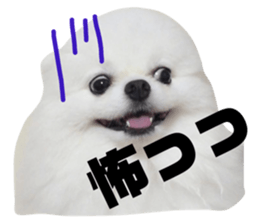 77260110