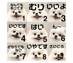 77260114